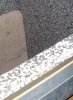 IMGP0780.JPG