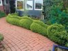 Hecke.jpg
