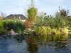 Teich3.JPG