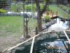 DSCN0601.JPG