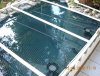 DSCN0596.JPG