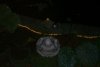 100_1796.jpg