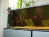PC210031.JPG