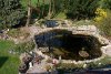 2009 Fische und Garten 204.jpg