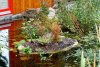 DSC02979.JPG