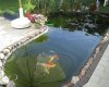 IMG_0574.JPG