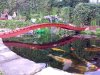 05062009425.jpg