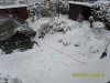009.JPG