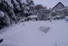 Winter2010.JPG