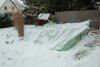 DSC_1403.JPG