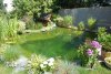 DSC_1165.JPG