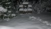Winter 10.01.2010 002_800x450.jpg
