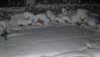 Winter 10.01.2010 001_800x450.jpg
