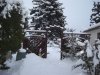beim Schatz Jan. 2010 079.jpg
