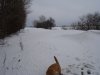 DSC05740.JPG