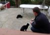 katze2.jpg