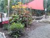 DSC01194.JPG