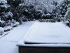 DSCF7025.JPG