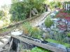 P1040165-1.JPG