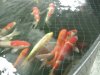 DSCN1017.JPG