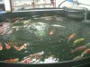DSCN1019.JPG