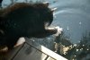 Cat_6.jpg