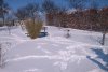 06.03.10c.JPG