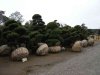DSCN4601k.JPG