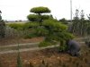 DSCN4549k.JPG