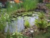 teich1.jpg