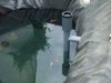 Teichbau und Holland 126.jpg