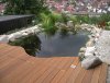 IMGP1134neu.JPG