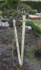 zweiter baum.jpg