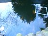 Teich am 30.3..JPG