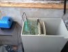 03042010071.jpg