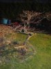 DSC01197.JPG
