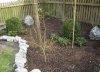 garten1.jpg