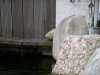 IMGP2944.JPG