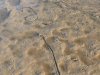 Muschelspur1.JPG