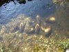 DSCF9979.JPG