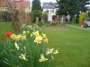 der frühling kommt 2010 (13).jpg