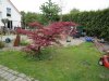DSC01315.JPG