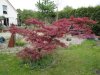 DSC01314.JPG