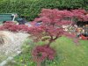 DSC01313.JPG