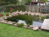 teich 2010 063.jpg