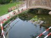 IMG_0363.JPG