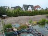 DSC06669.JPG