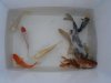 DSC06682.JPG