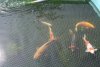 K640_K800_IMG_1773.JPG