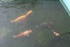 K640_K800_IMG_1771.JPG